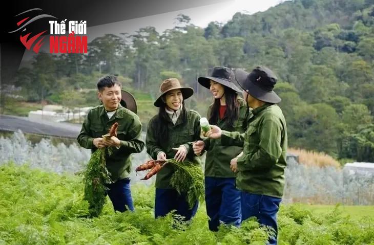 Nguyễn Thúc Thùy Tiên Trước Vành Móng Ngựa: Hậu Quả Khôn Lường Cho Sự Nghiệp Và Danh Tiếng